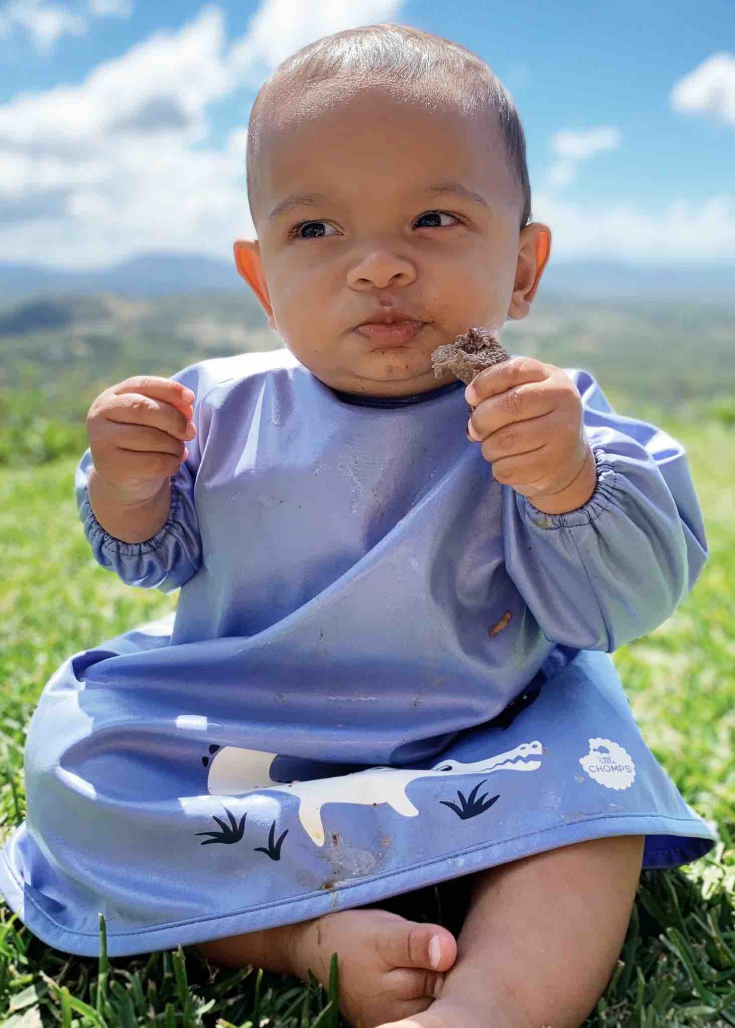 Little Chomps - Messy Mealtime (Starter) Smock: 0-8+mths