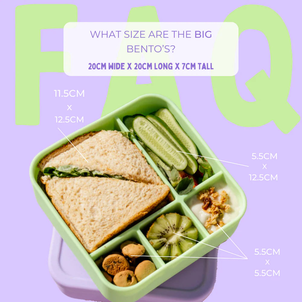 The Zero Waste People - Big Bento Lunchbox