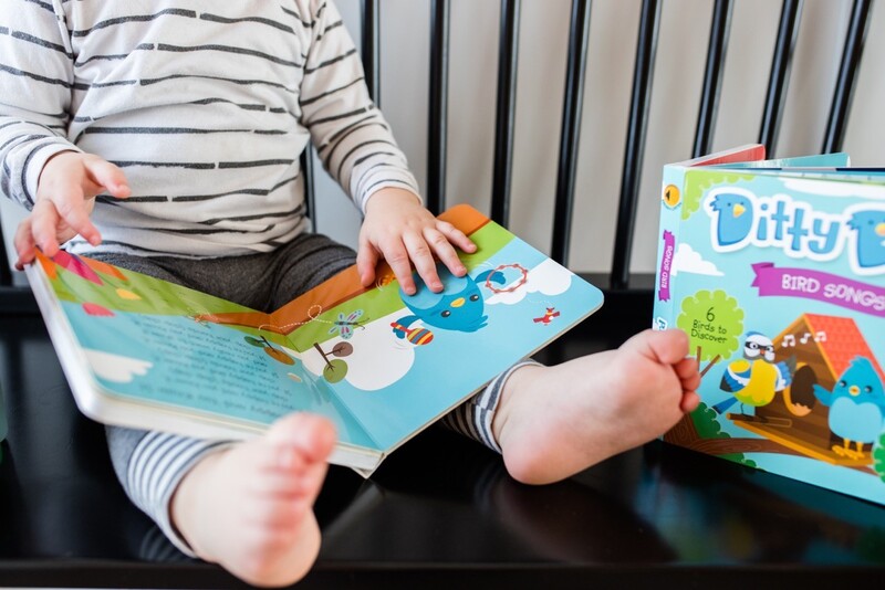 Ditty Bird - Bird Songs Board Books