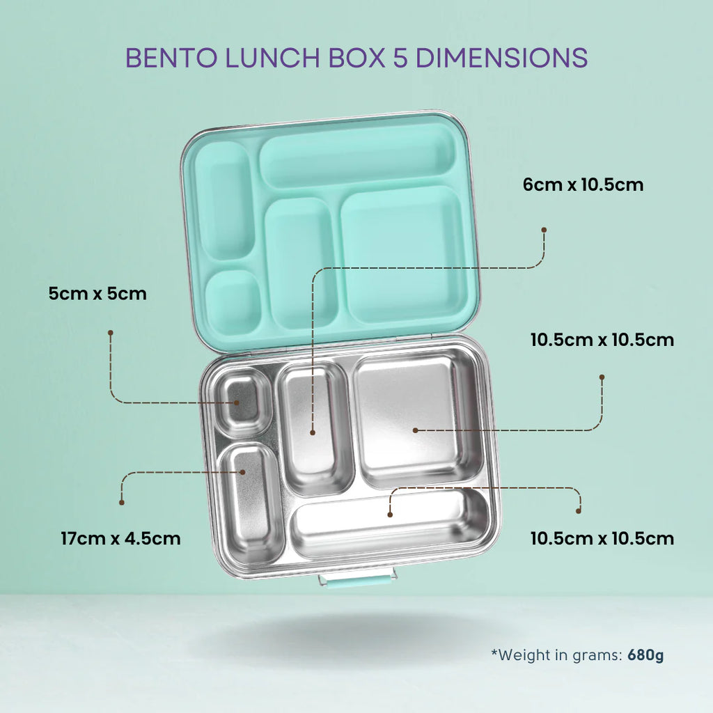 Ecococoon Bento Box 5 Stainless Steel - Leak Proof - Blueberry