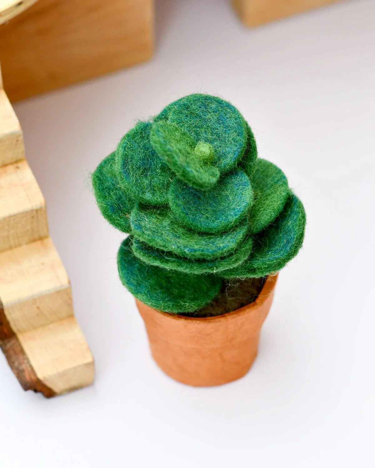 Tara Treasures - Felt Green Jade Succulent Plant with Lokta Paper Pot