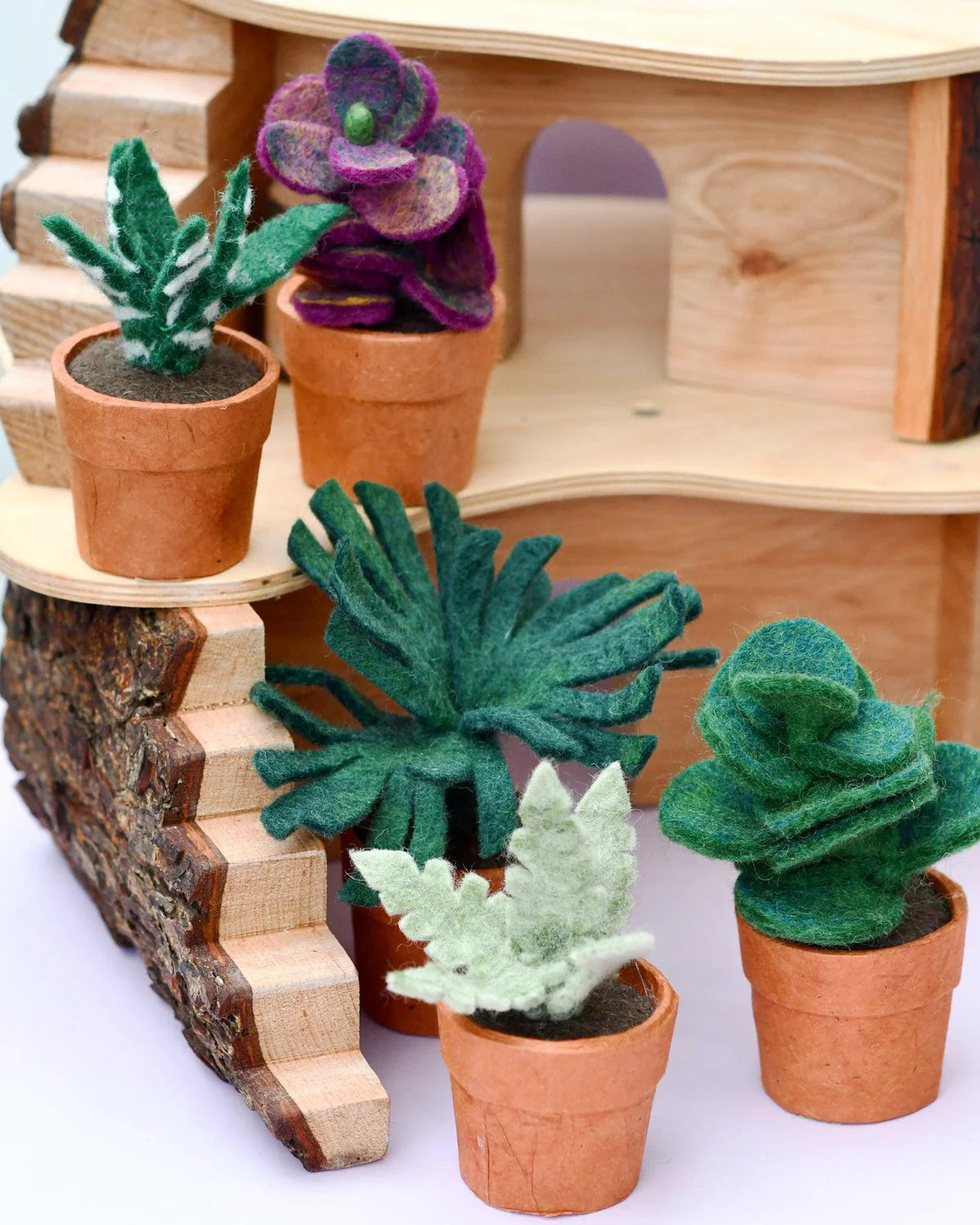 Tara Treasures - Felt Silver Fern with Lokta Paper Pot