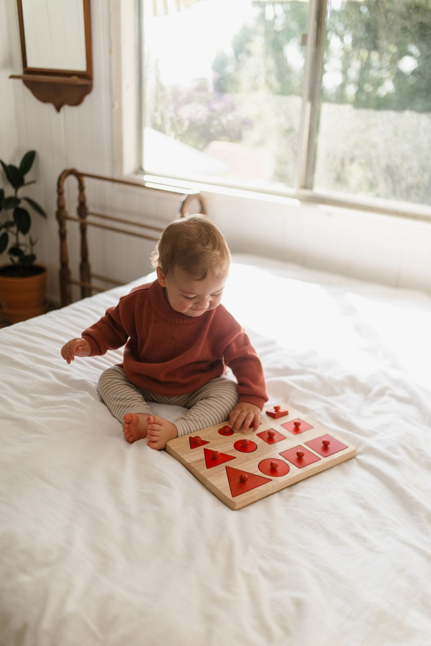 Qtoys - Toddler Knob Shape Puzzle