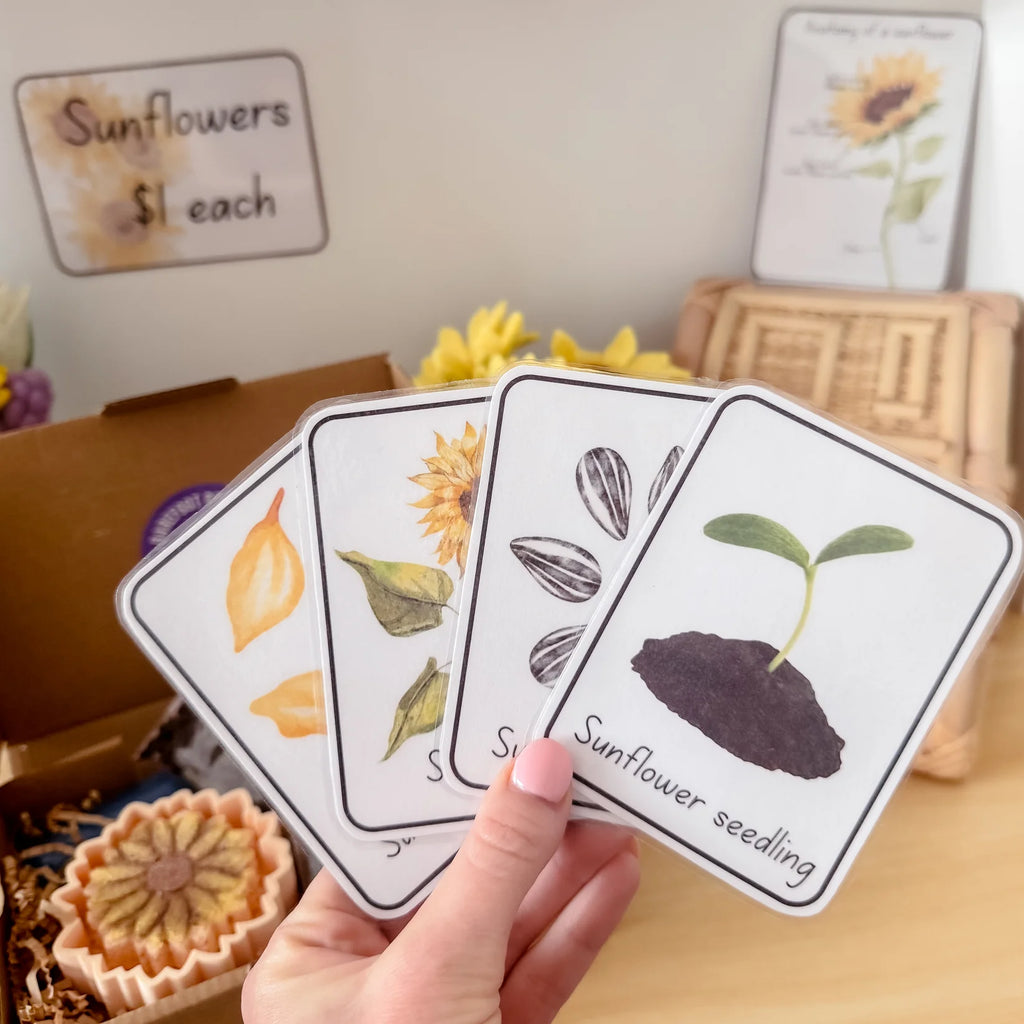 Barefoot Potions - Sunflower Potion Kit