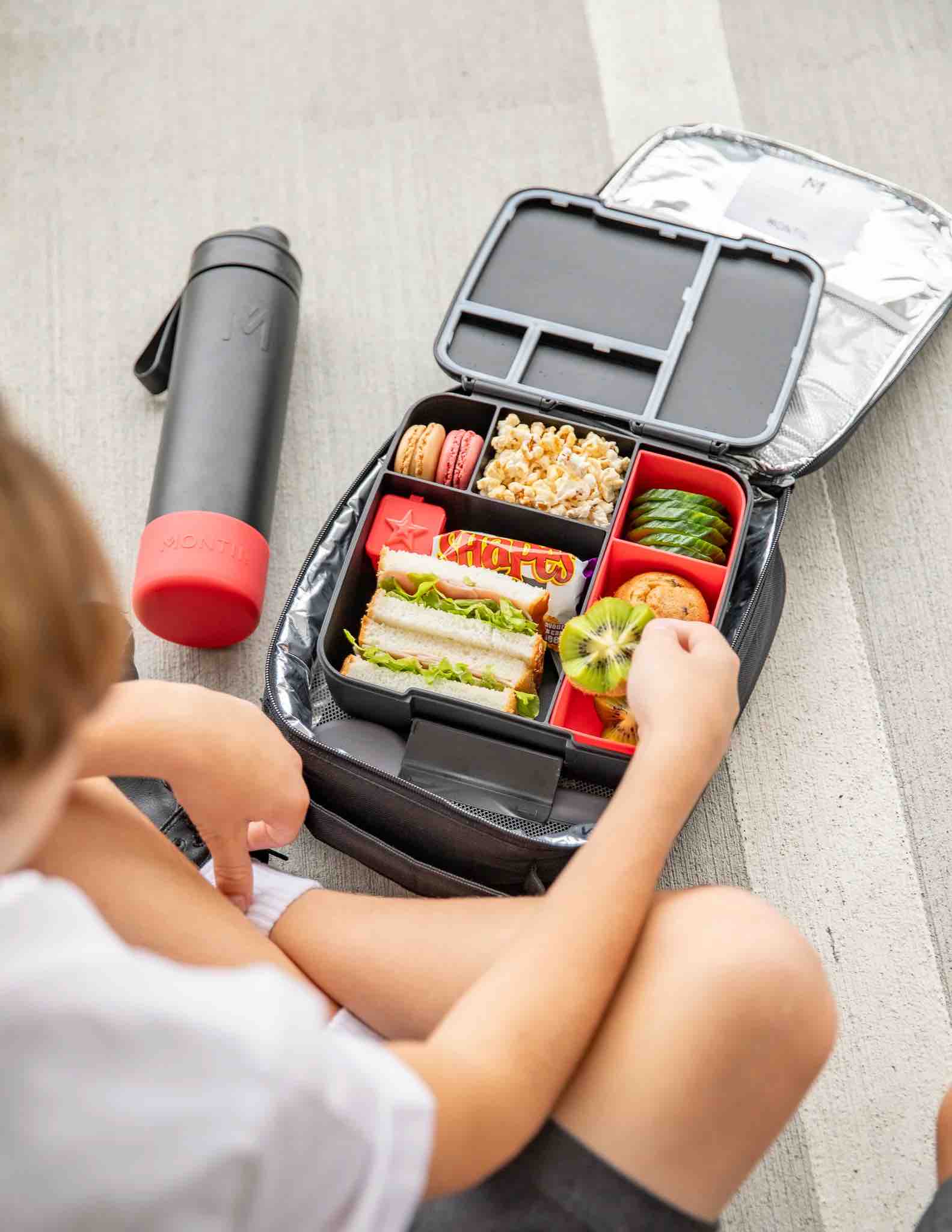 MontiiCo Feast Bento Lunch Box - Midnight