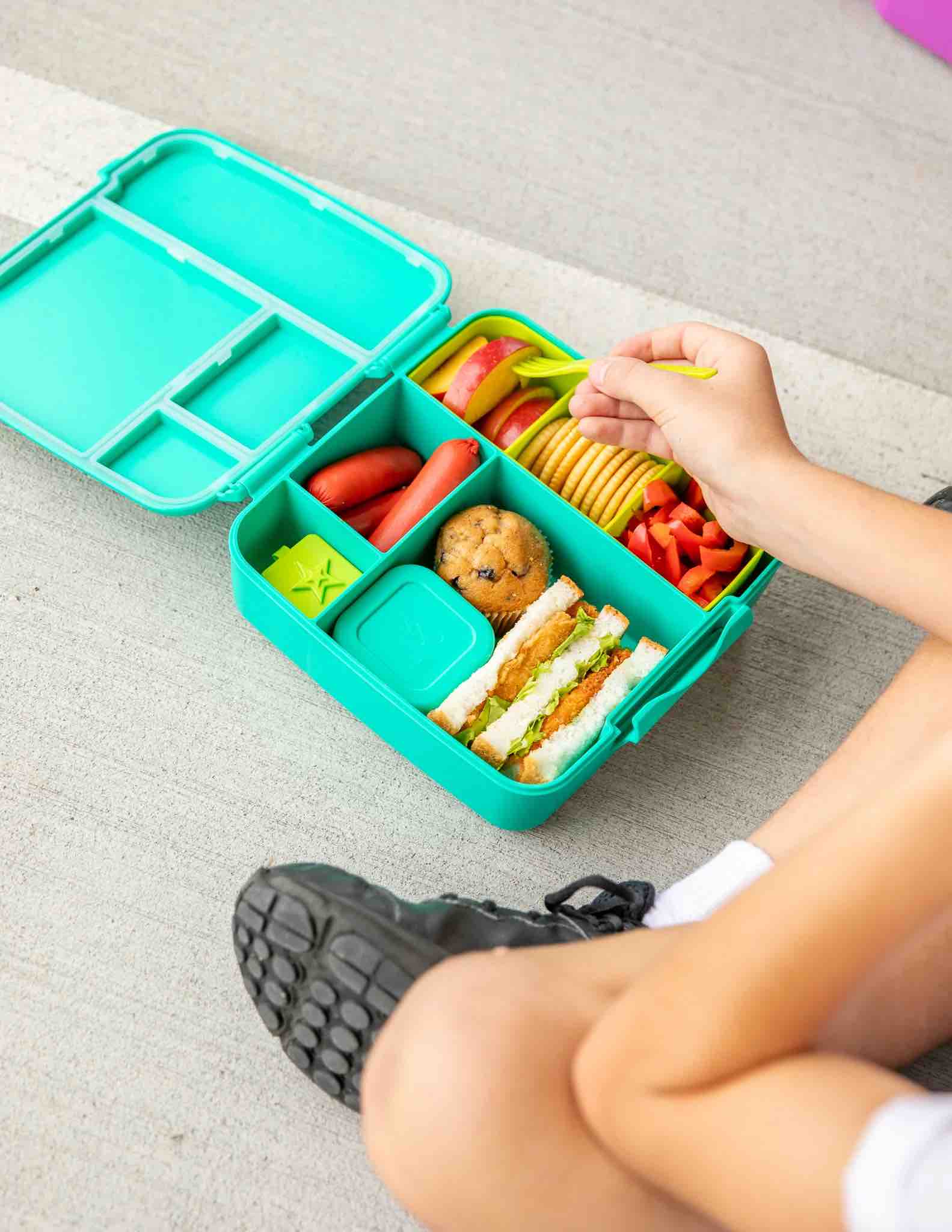 MontiiCo Feast Bento Lunch Box - Mojito