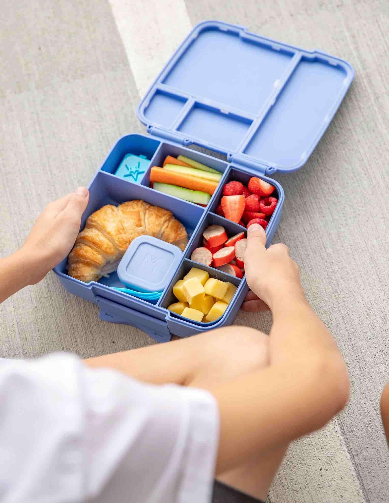 MontiiCo Feast Bento Lunch Box - Splash