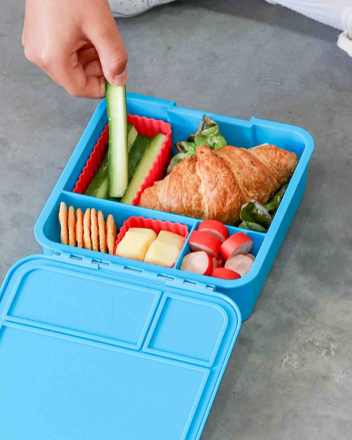 MontiiCo Bento Cups Mixed