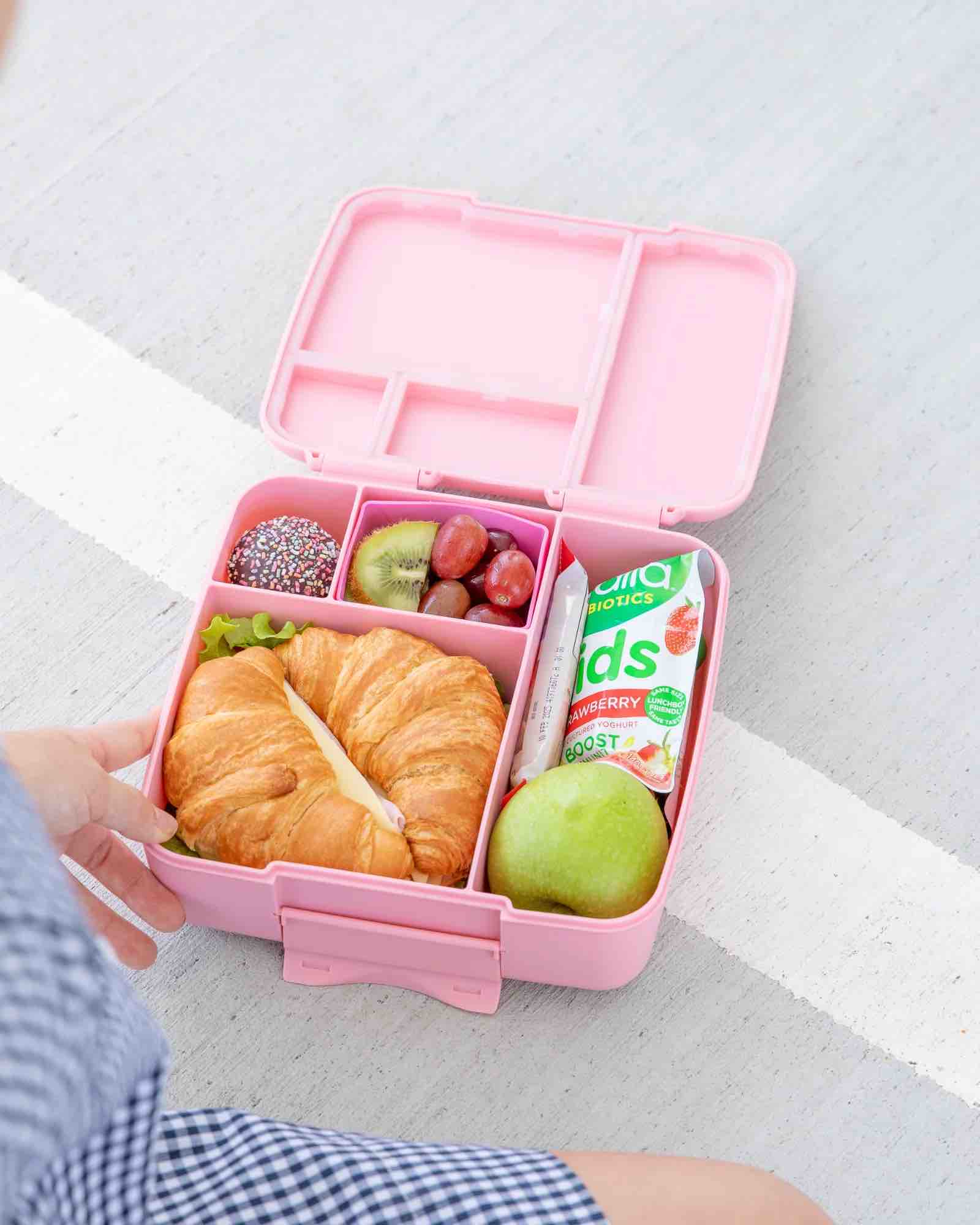 MontiiCo Feast Bento Lunch Box - Dahlia