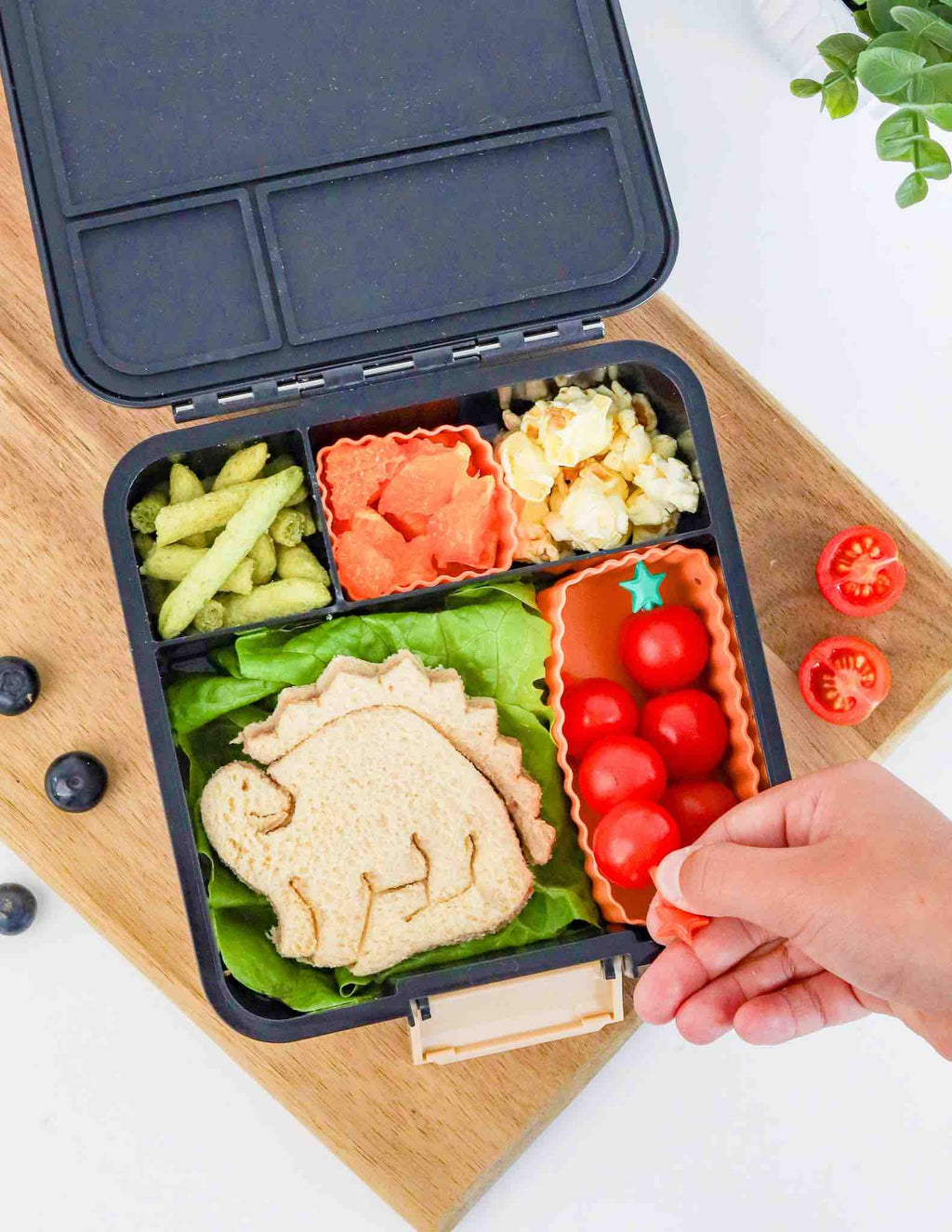 MontiiCo Bento Cups Mixed - Tangerine