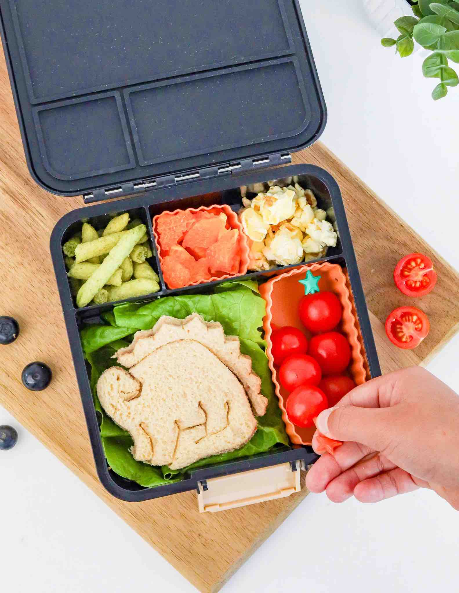 MontiiCo Bento Cups Mixed - Tangerine