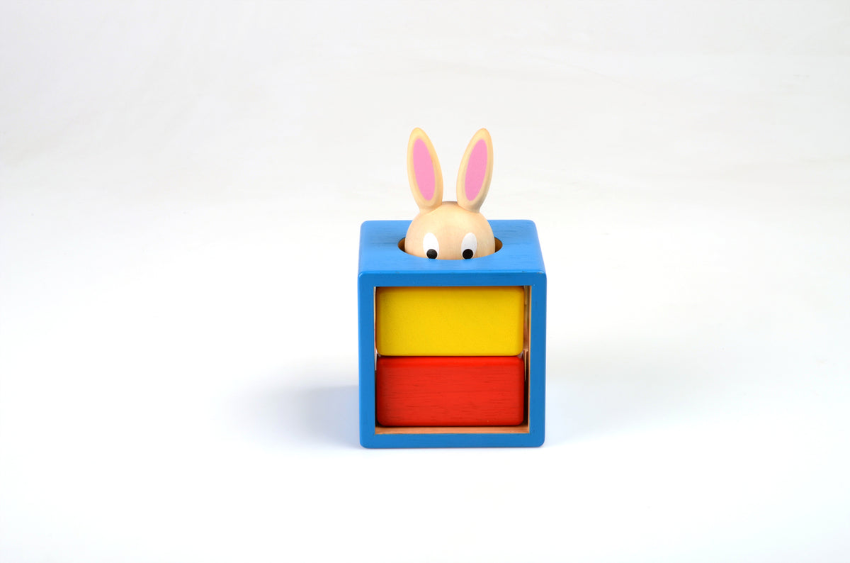 Smart Games - Bunny Boo