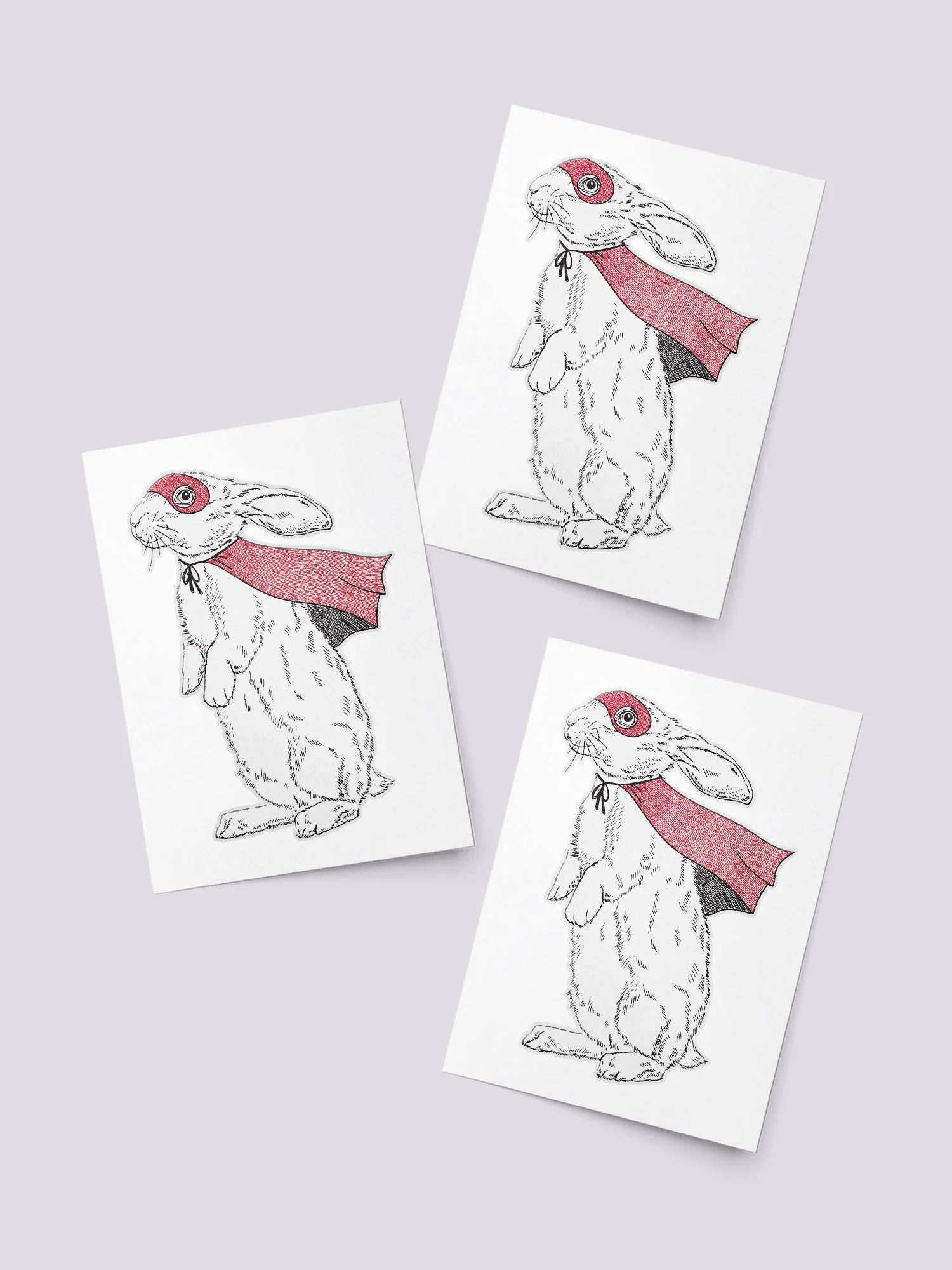 Ducky Street - Bunny Hero