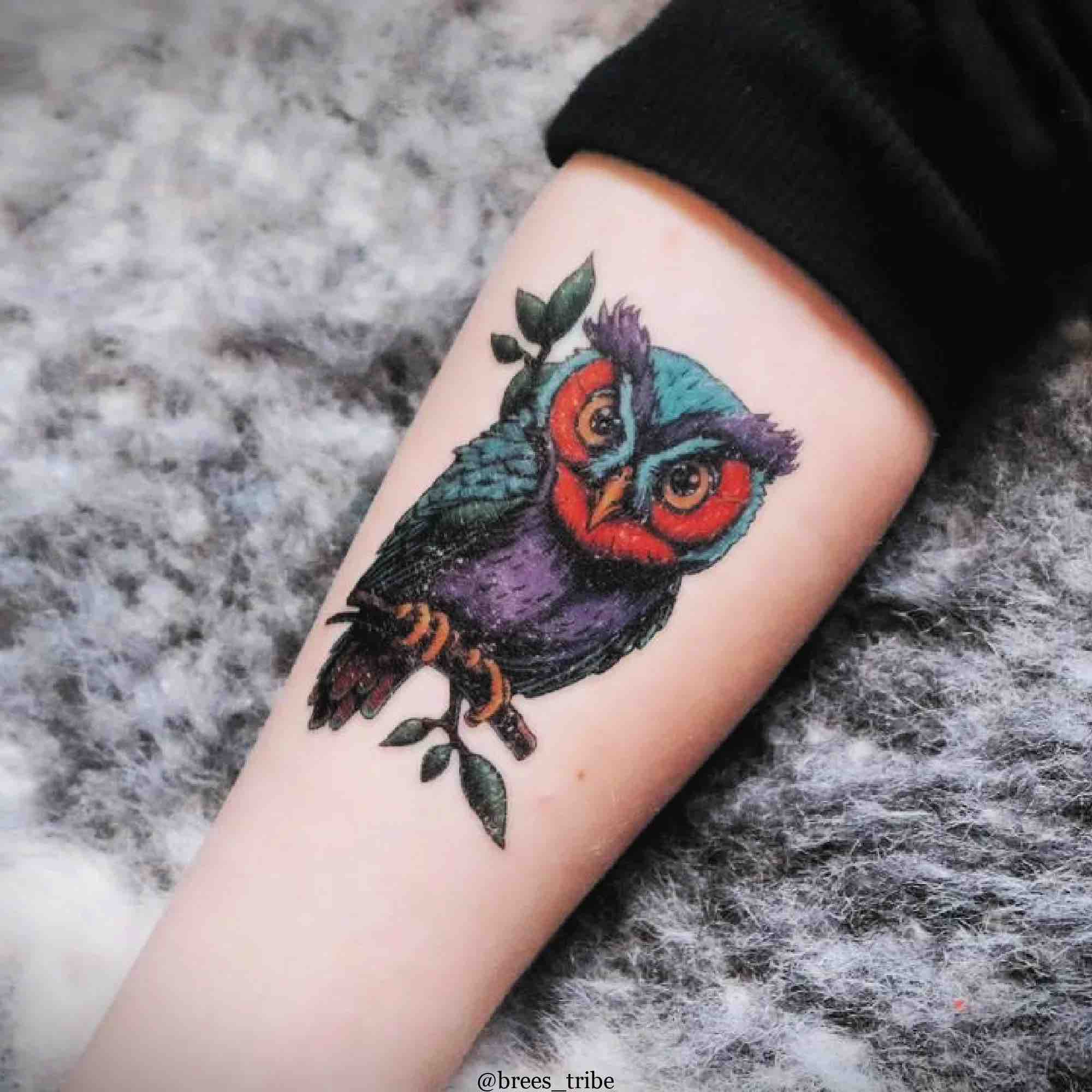Ducky Street - Owl