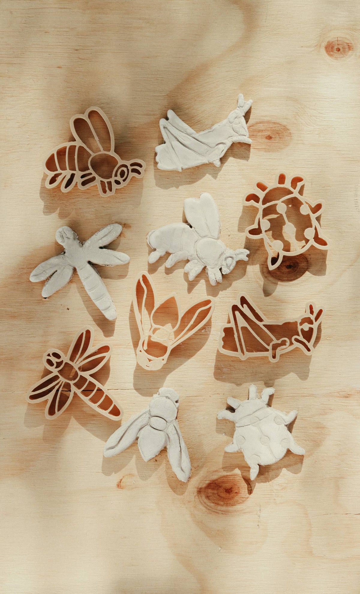 Kinfolk Pantry - Insect Cutter Set - Eco Playdough Tool
