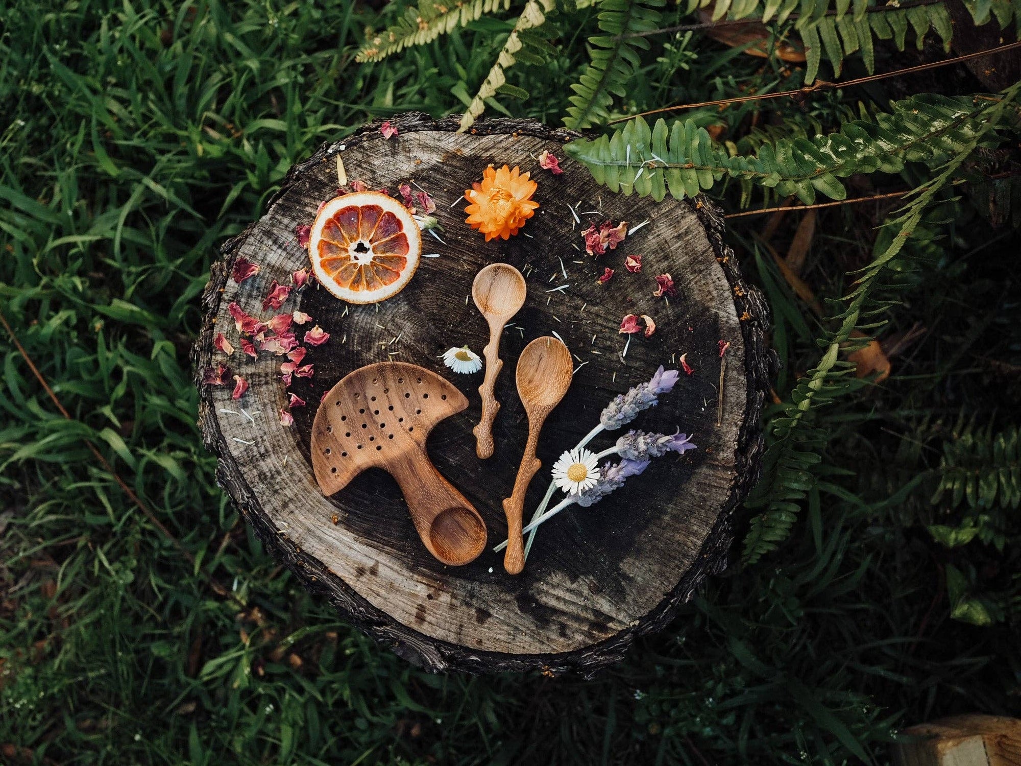 Wild Mountain Child - Mushroom Multi Tool