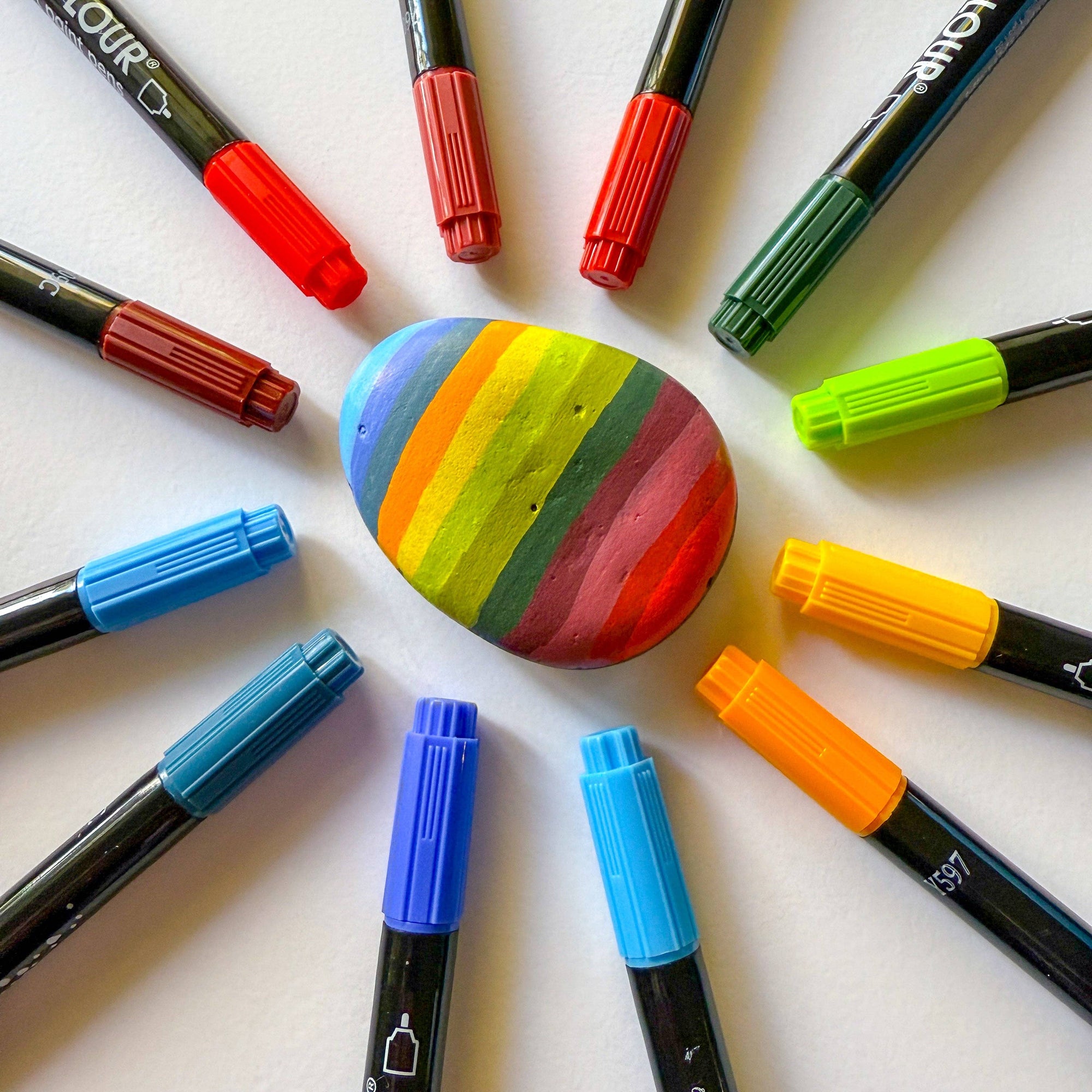 Life of Colour - Wild Dots Acrylic Paint Pens -  Set of 12 Earth Colours