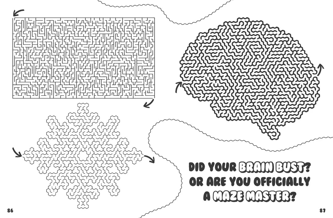 Book | Brain-Busting Puzzles for Kids - Mazes