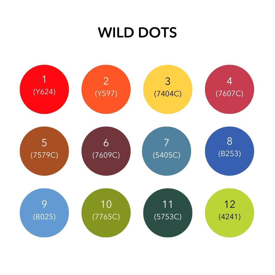 Life of Colour - Wild Dots Acrylic Paint Pens -  Set of 12 Earth Colours