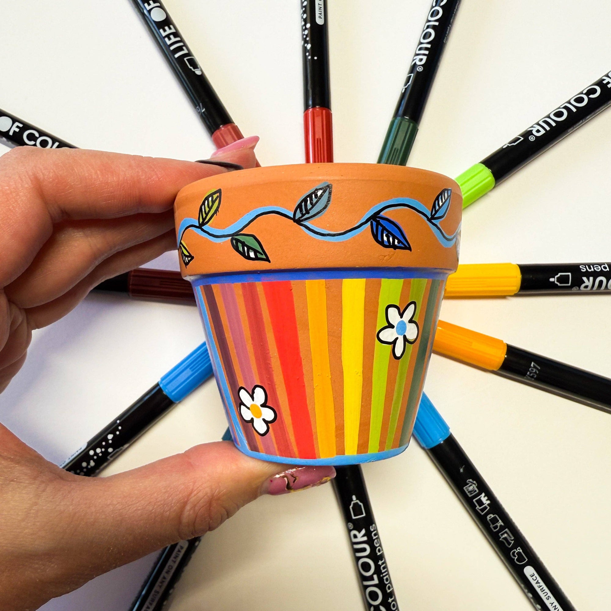 Life of Colour - Wild Dots Acrylic Paint Pens -  Set of 12 Earth Colours