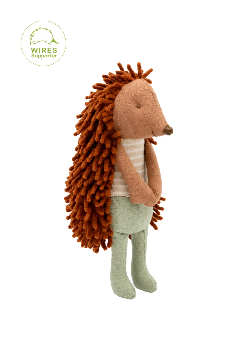 Rugaroo - Col | The Campground Host Echidna