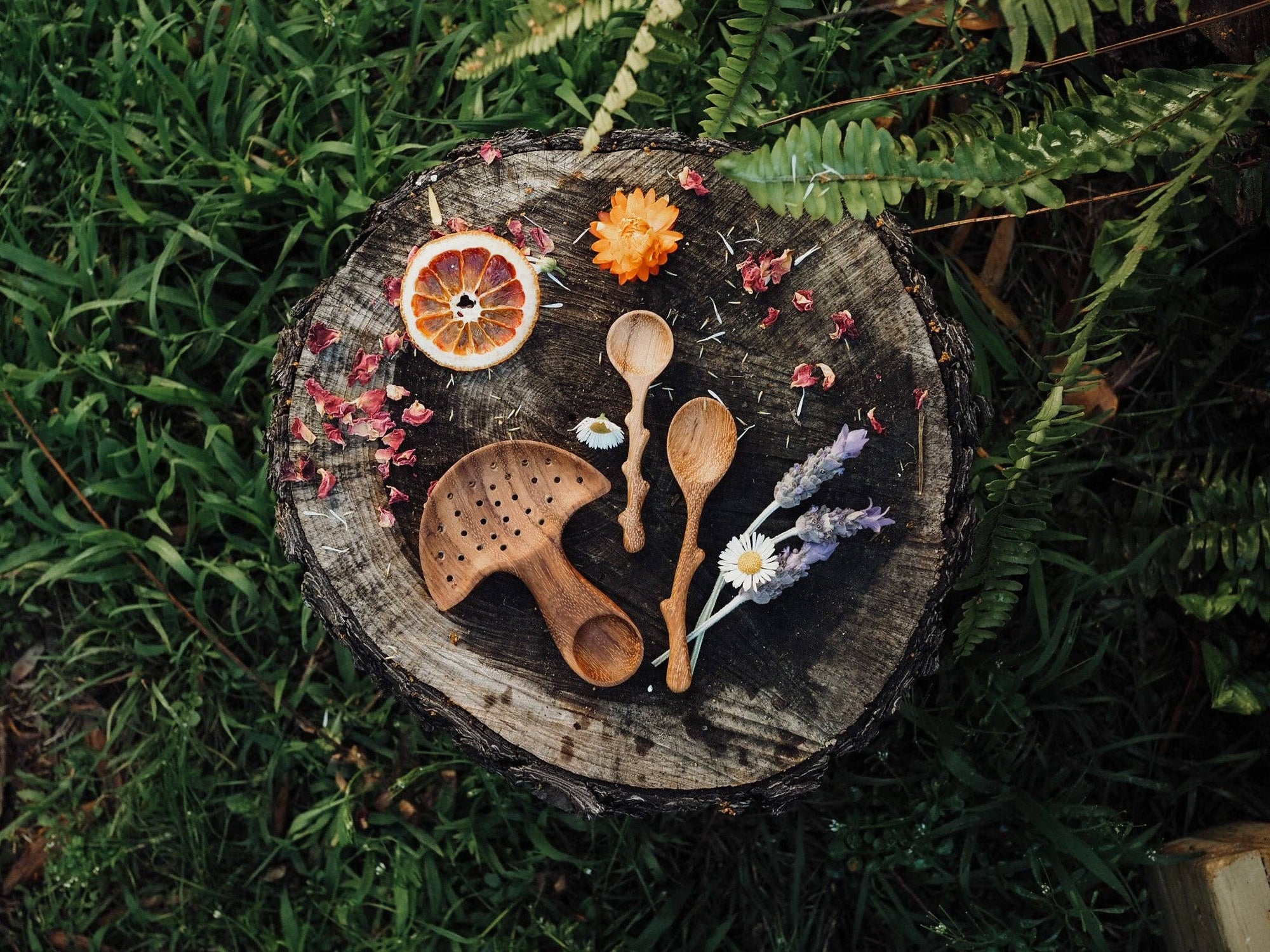 Wild Mountain Child - Mushroom Multi Tool
