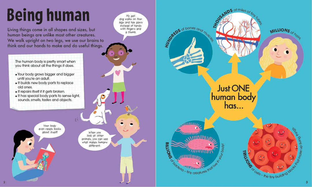 Book | FunFacts - Book & Jigsaw - The Human Body