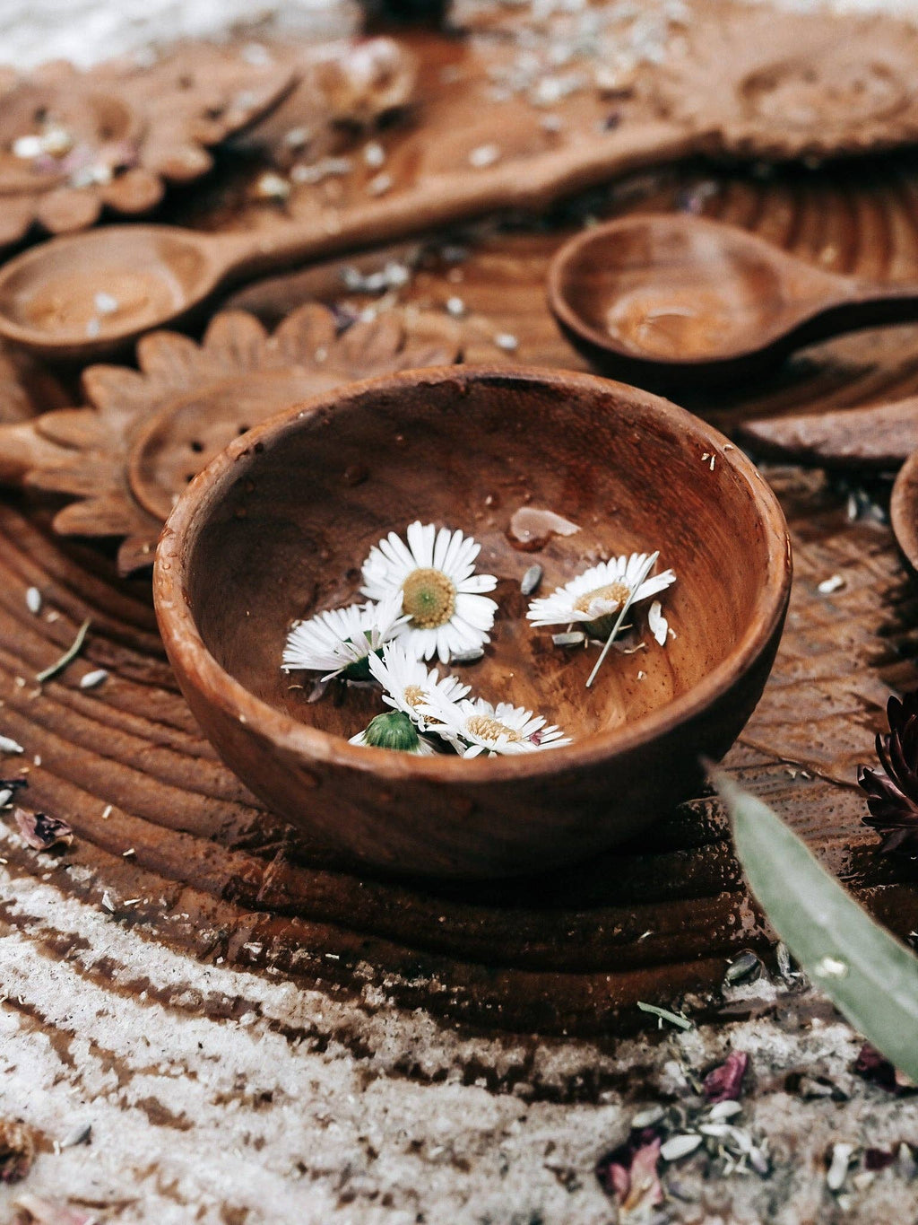 Wild Mountain Child - Treasure Bowl