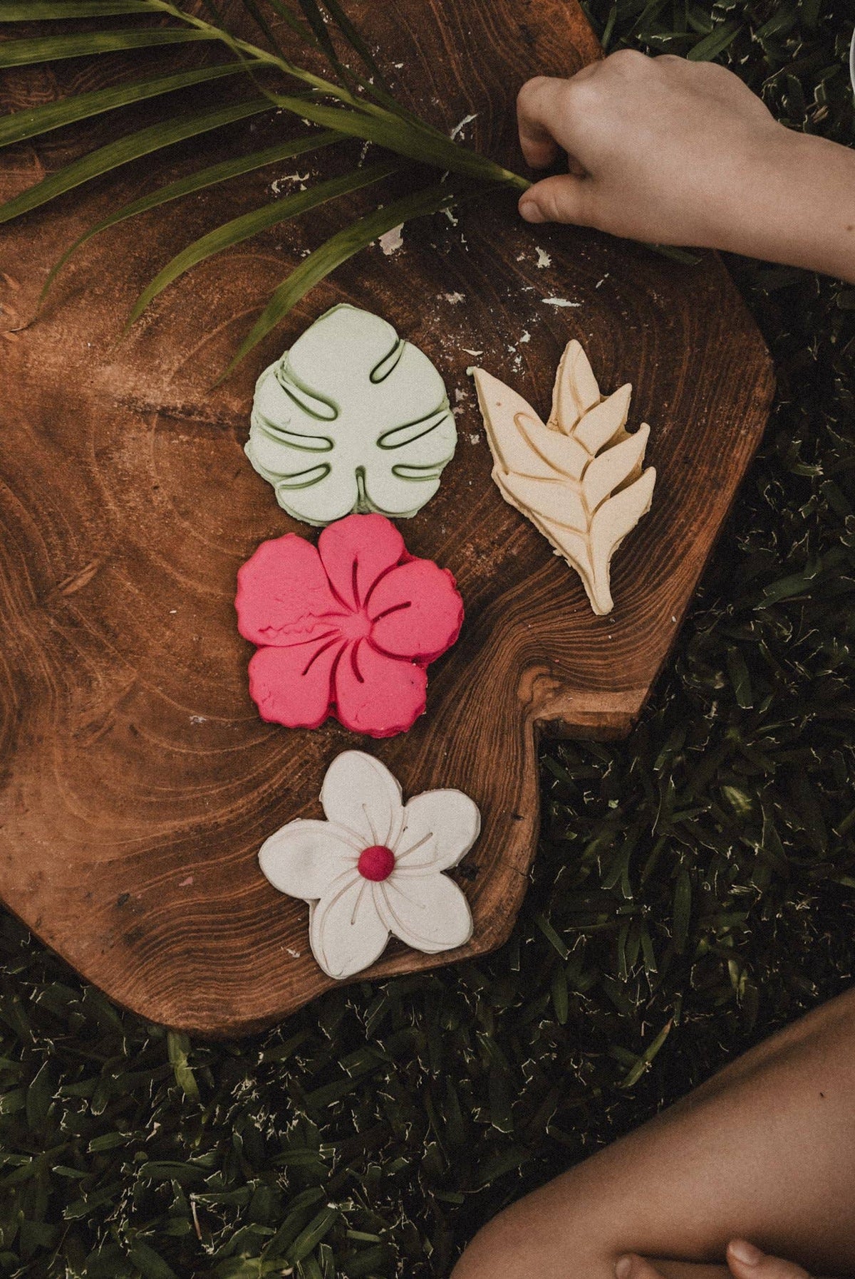 Kinfolk Pantry - Tropical Flower Eco Cutter Set