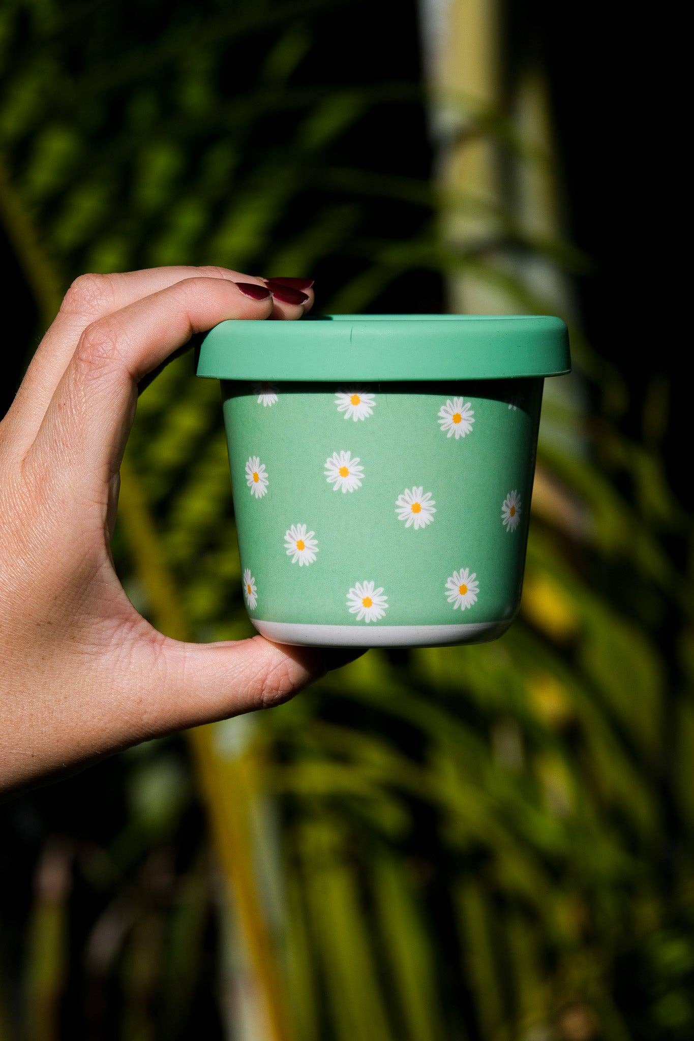BBcino - Daisy, BB SNACK POT  (220ml)