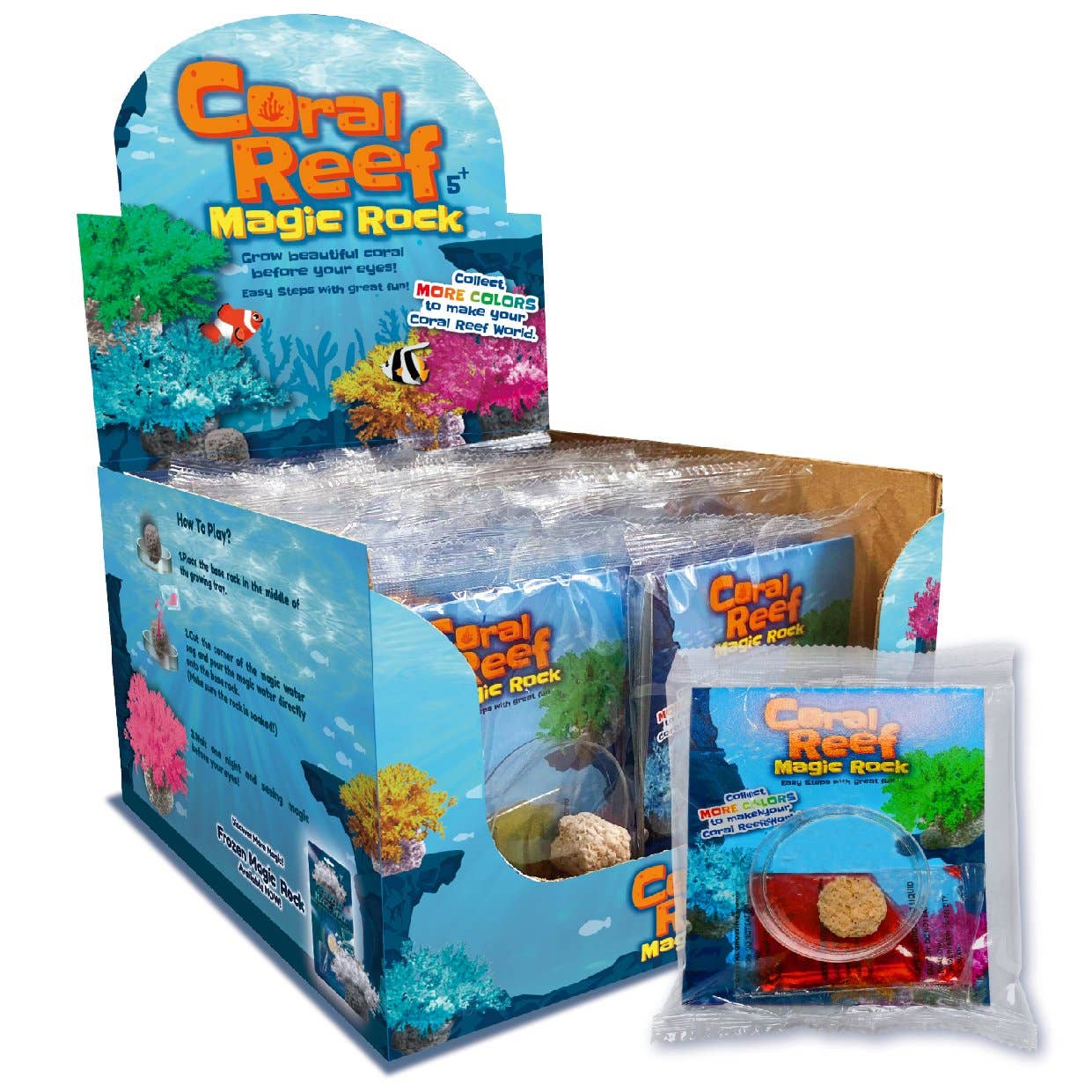 Science and Nature - Coral Reef Magic Rock
