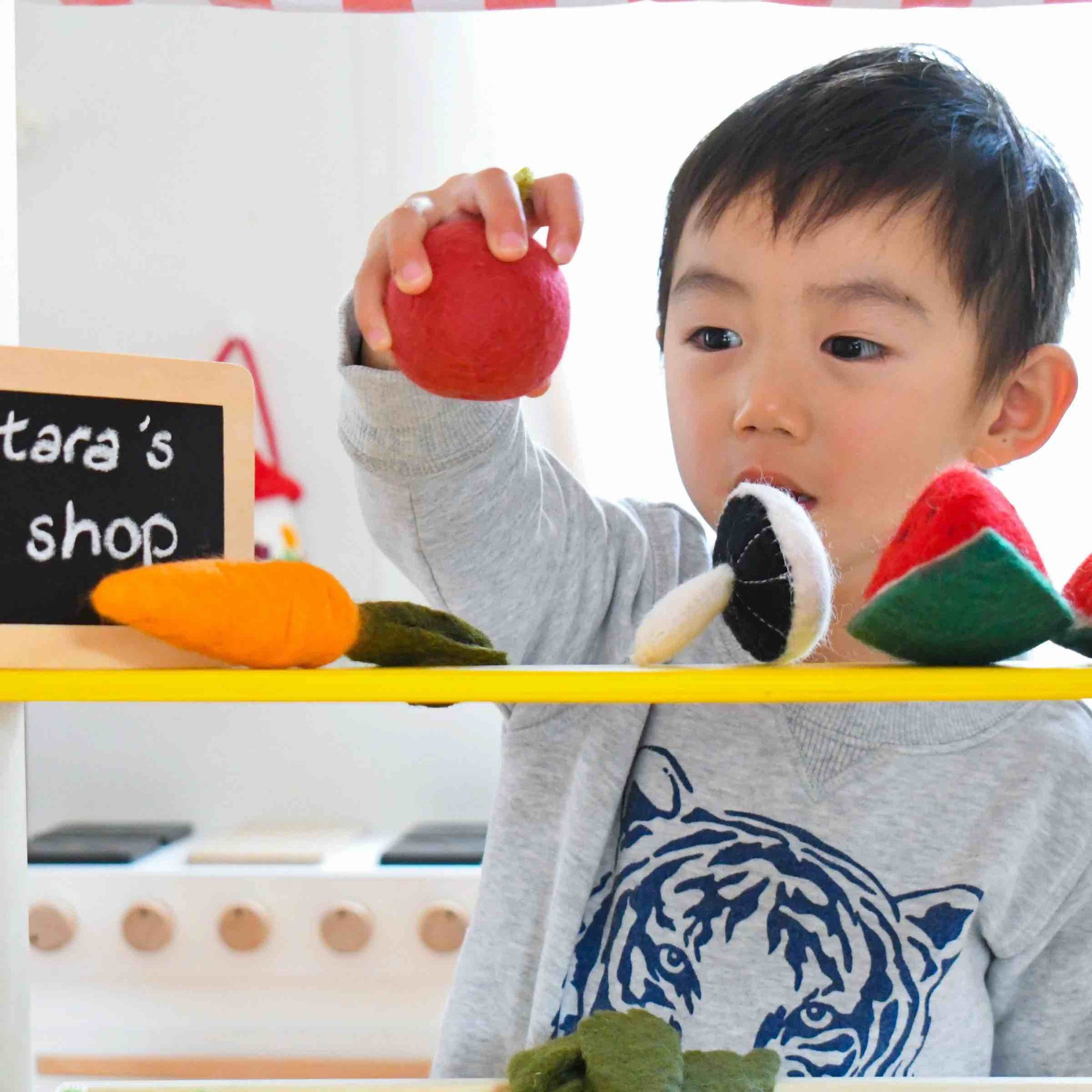 Tara Treasures - Felt Vegetables and Fruits - Pick and Choose