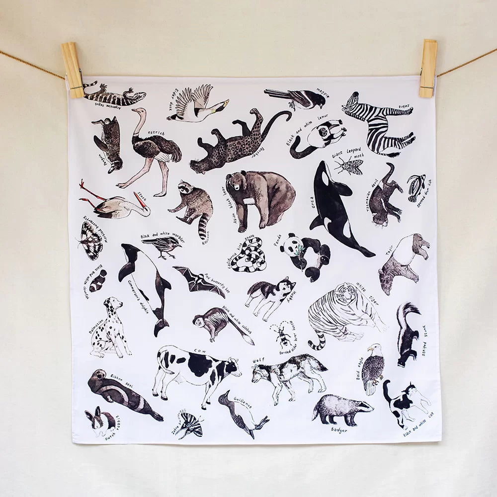 Wonderie - Inky and Ivory Animal Kingdom