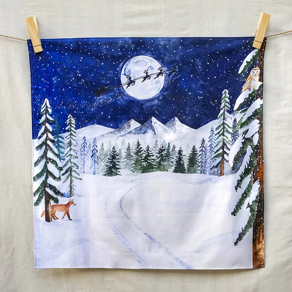 Wonderie - One Starry Winter's Night