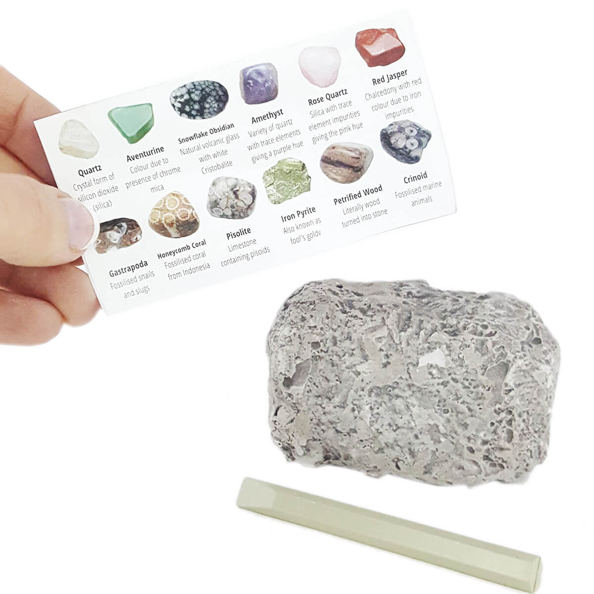 Science & Nature - Mineral Dig Out