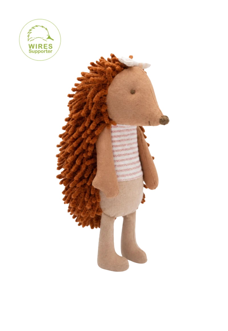 Rugaroo - Riva | The Campground Host Echidna