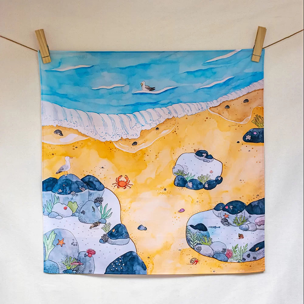 Wonderie - Rock Pool Life