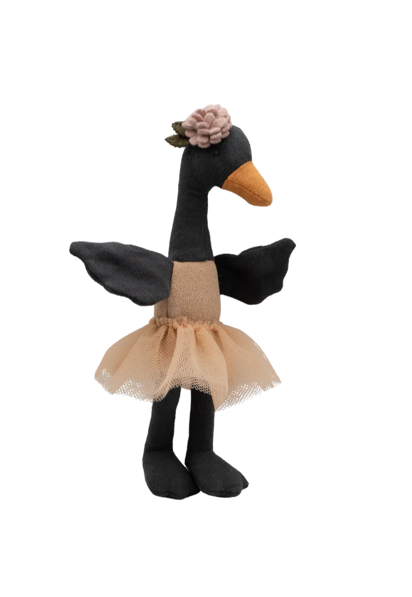 Rugaroo - Wattle | The Bush Florist Black Swan