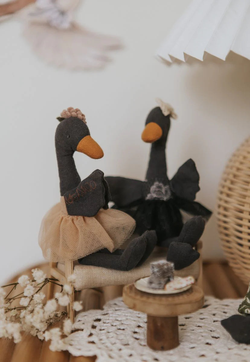 Rugaroo - Wattle | The Bush Florist Black Swan